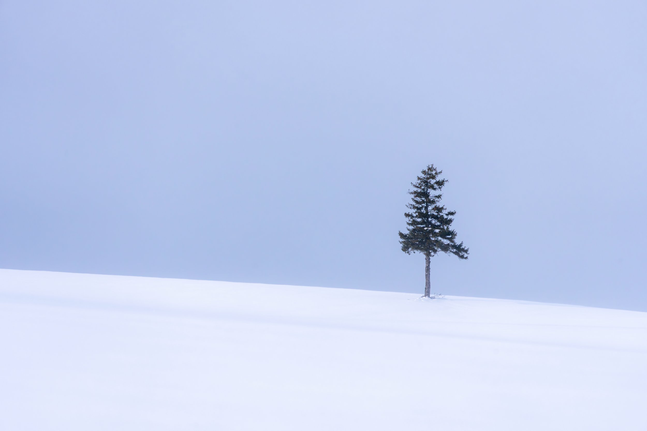 Photographing Silence: Elizabeth Sanjuan on Stillness, Subtle